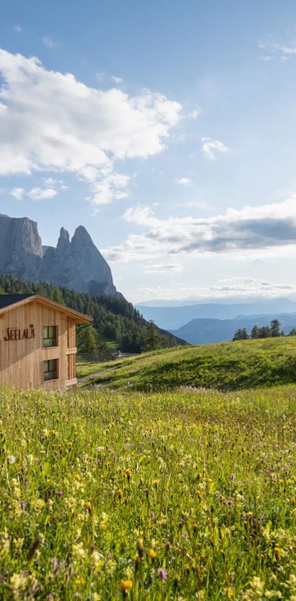 hotel-seelaus-dalpiaz-seelaus-sommer-9